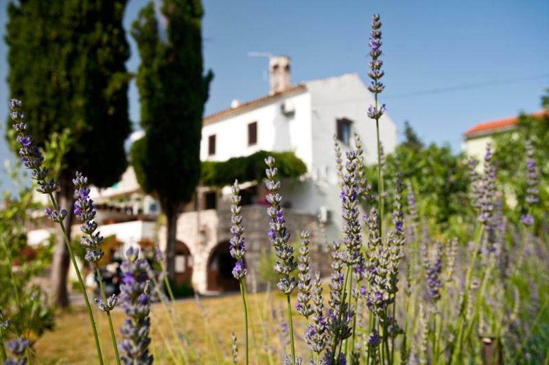 Pape Punat Apartmani I Sobe Εξωτερικό φωτογραφία