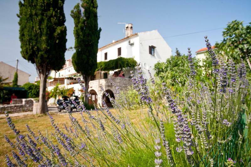 Pape Punat Apartmani I Sobe Εξωτερικό φωτογραφία