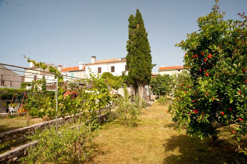 Pape Punat Apartmani I Sobe Εξωτερικό φωτογραφία